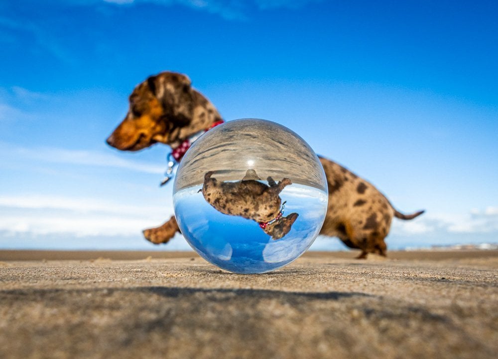 Lensball Photography - Refractions, Creativity and Tips