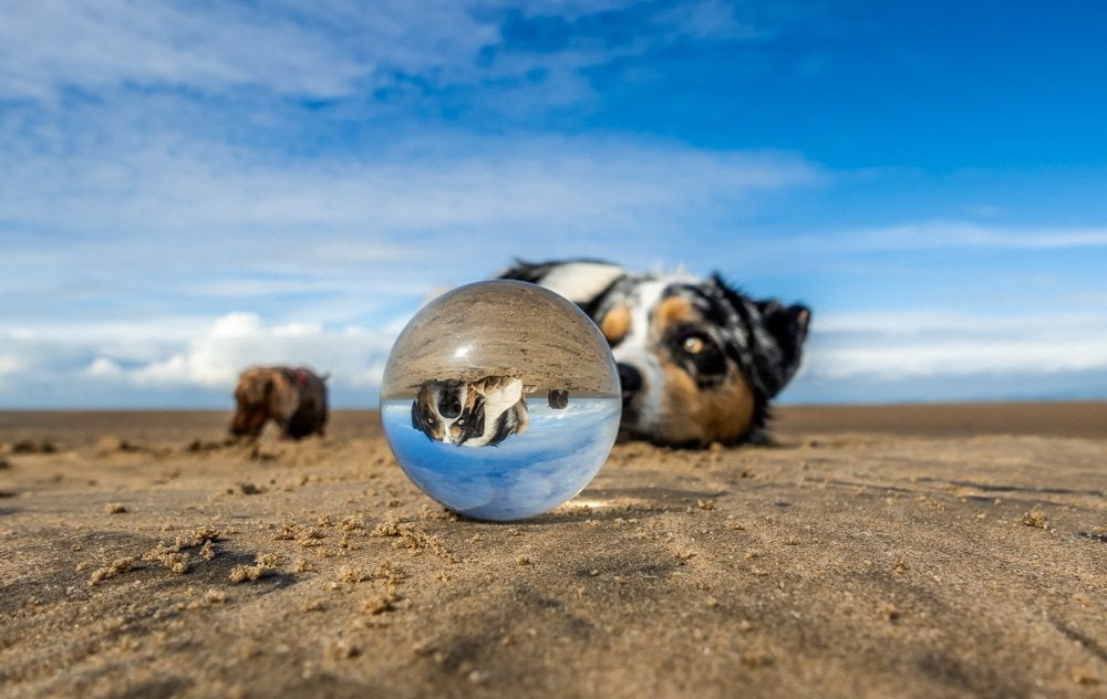 Be creative with a lensball