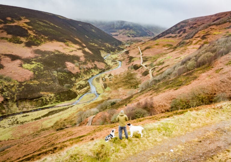 Langden Brook Valley Walk In The Forest Of Bowland