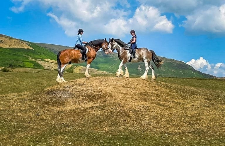 The Ride Of Your Life With Cumbrian Heavy Horses