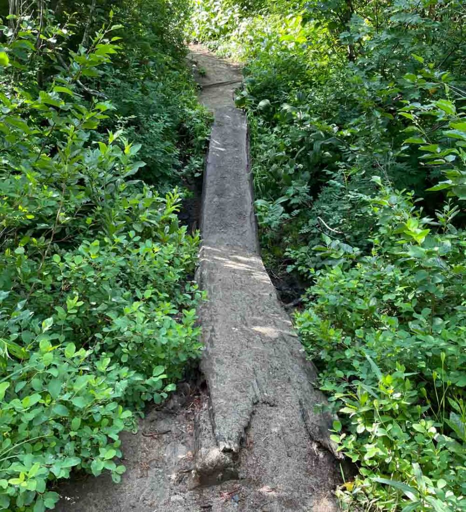 log bridge