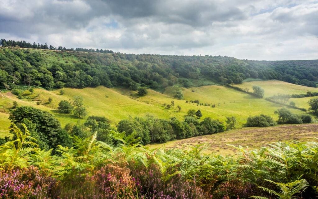 looking across the hole of horcum