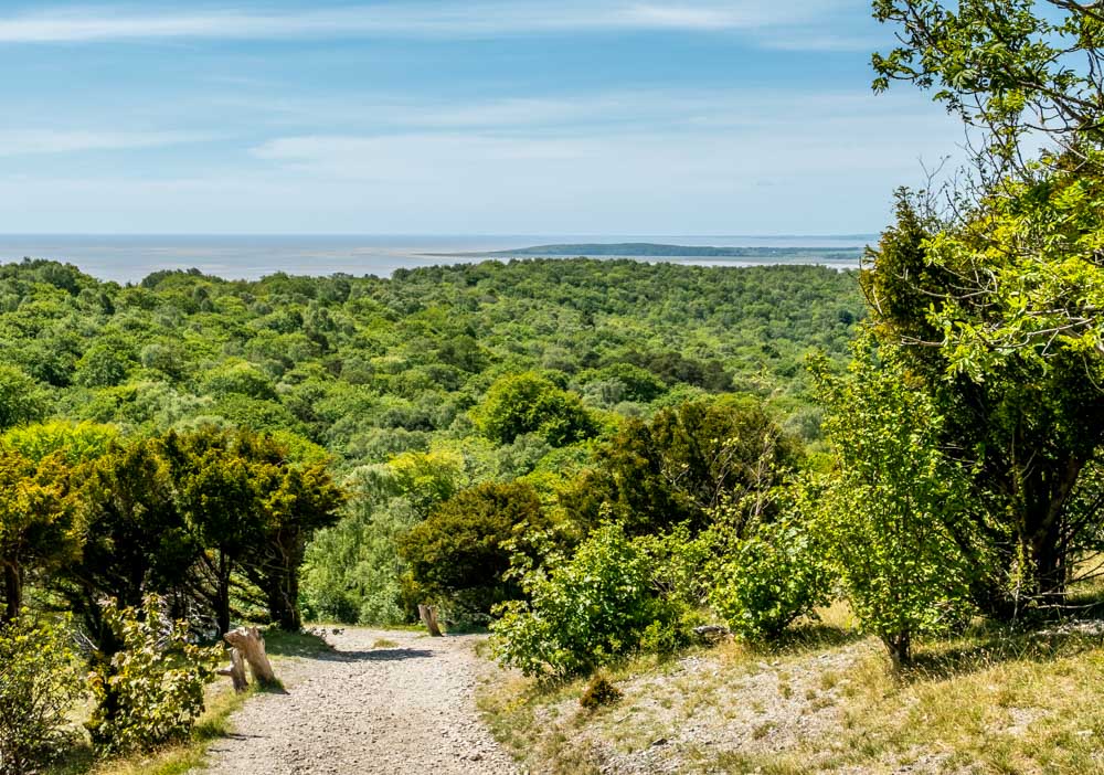 path up to the knott