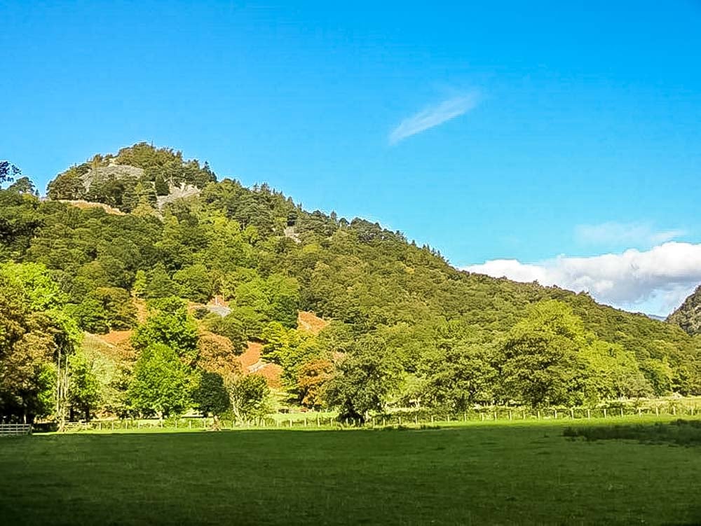 looking up castle crag