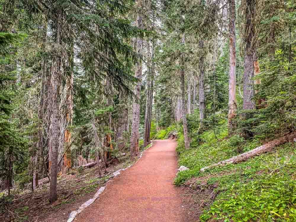 loop trail Nisqually path