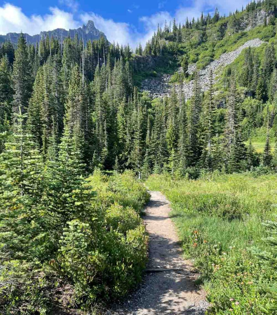 meadow to snow with unicorn peak