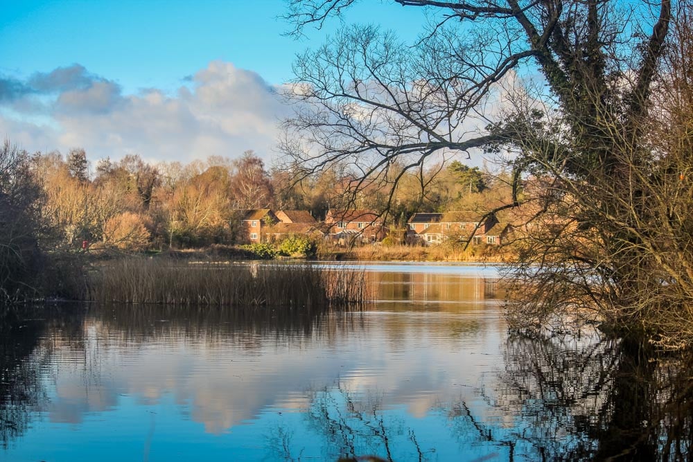 A Walk Around Rooksbury Mill Nature Reserve - Andover 1