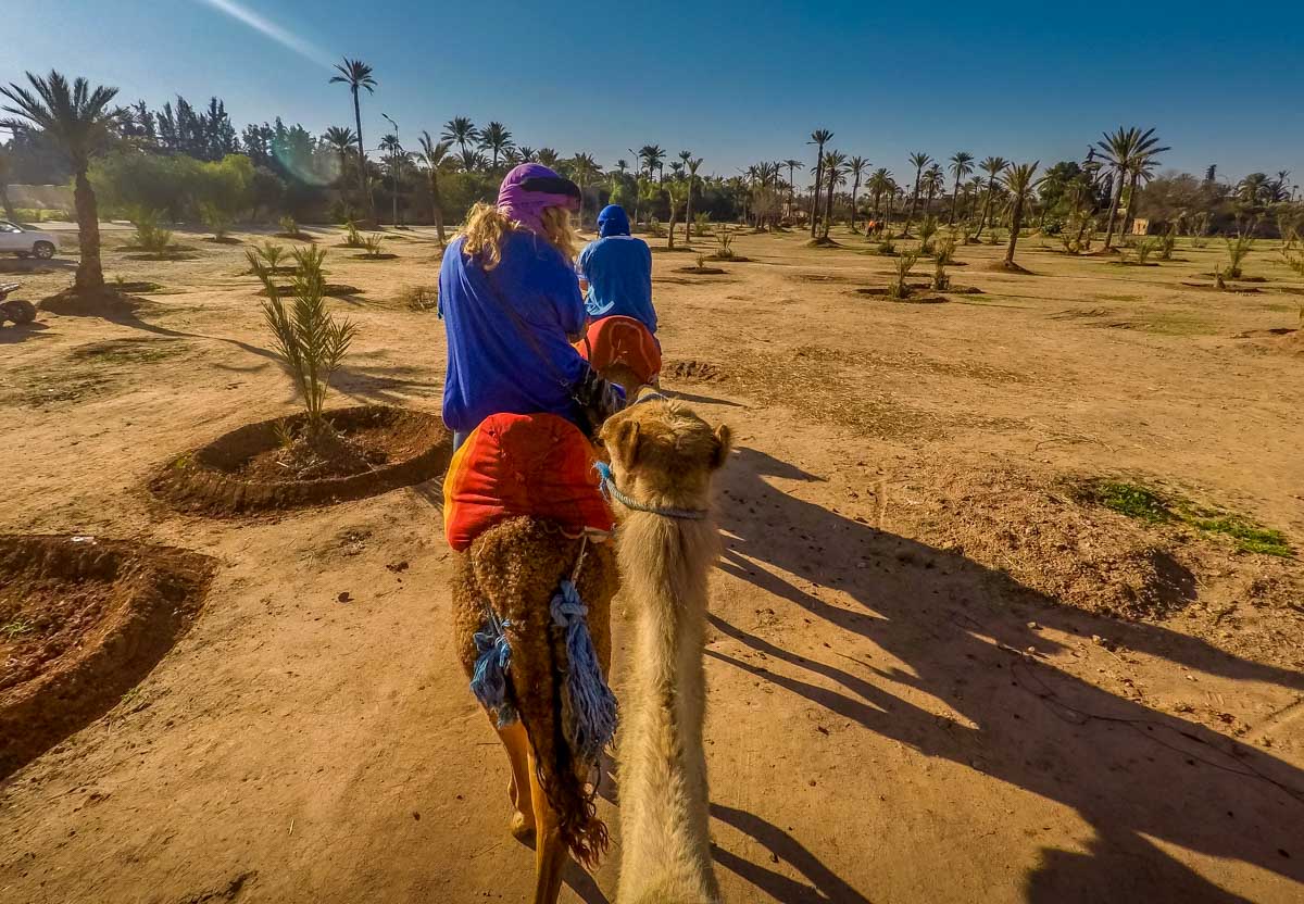 camel riding Marrakech