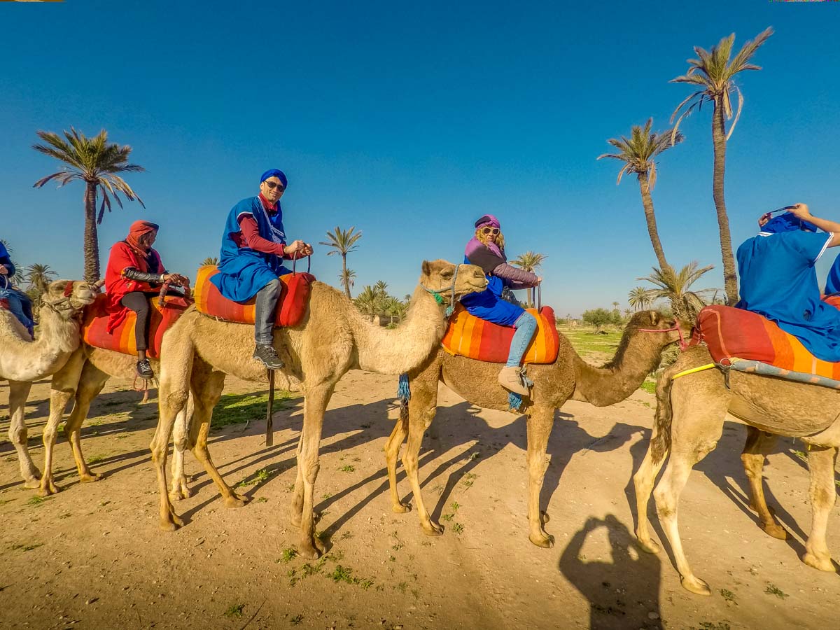 camel ride Marrakech