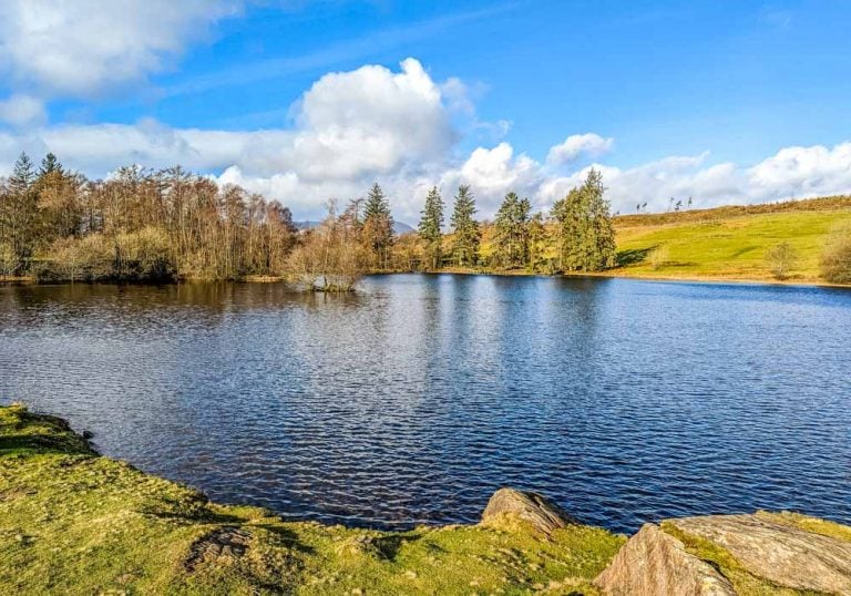 Moss Eccles Tarn, A Walk From Near Sawrey