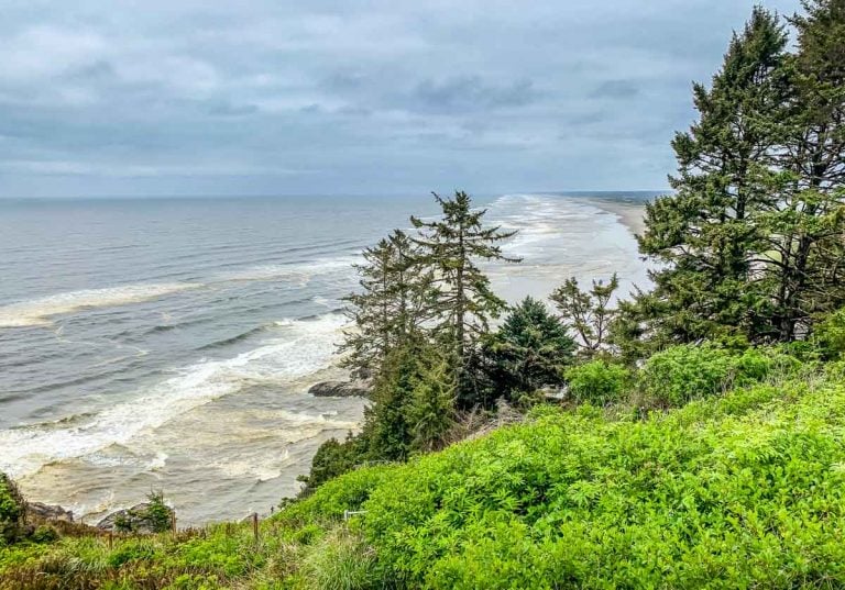 Trails Of The Historic Cape Disappointment State Park