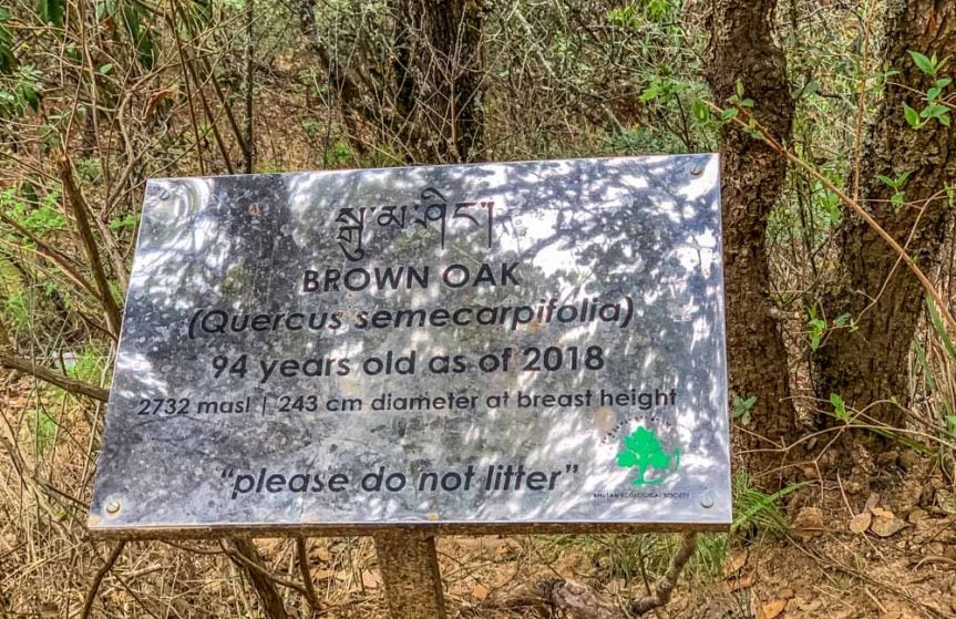 oakt trail sign