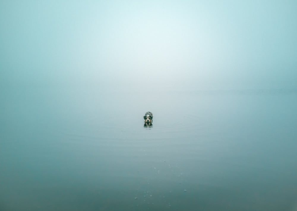 ocean fog