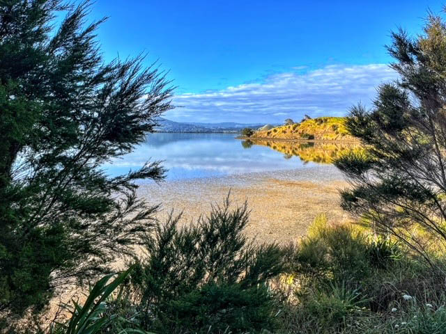 ocean view on Otawhiri Peninsular Walk