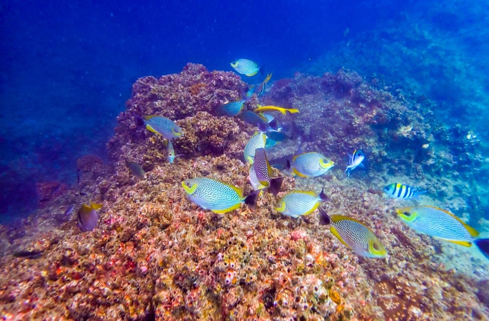 Sailing The Ang Thong Islands - Kayaking and Snorkelling Tour 9