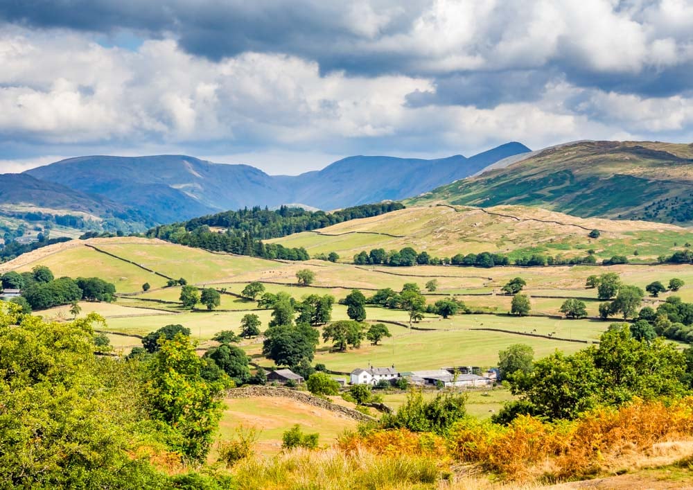 Orrest Head - Wainwright's First Lakeland Fell