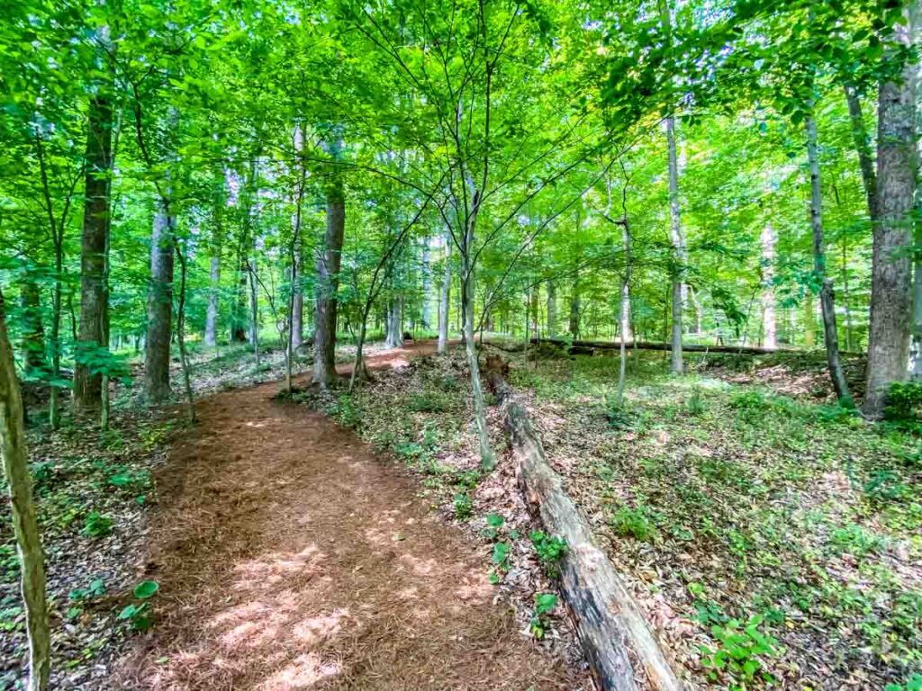 One of the beautiful, lush green paths, home to birds and wildlife on the ground of Glenstone