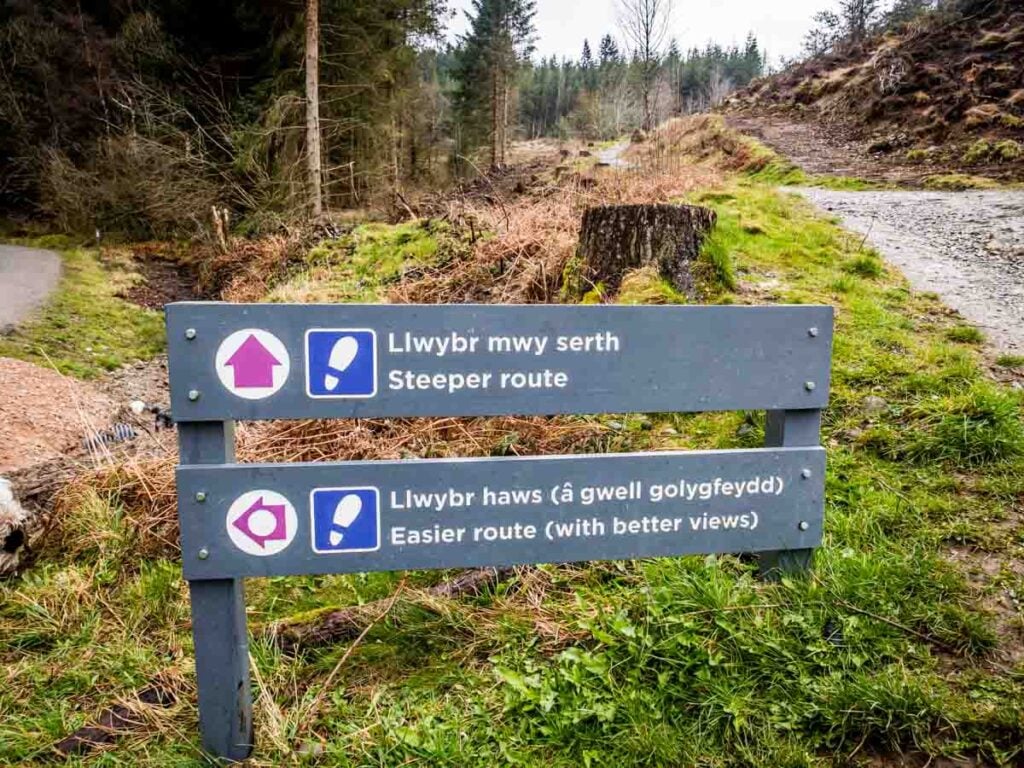 path choices on Moel Famau