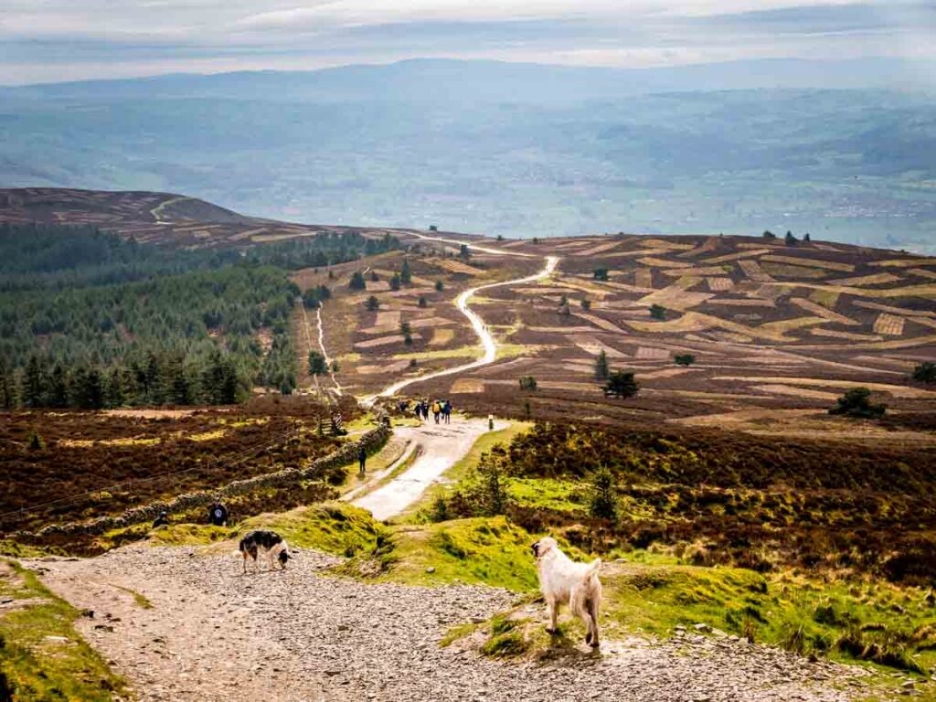 path down moel famau