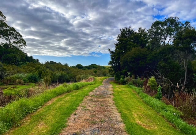 Otawhiri Peninsular Walk path