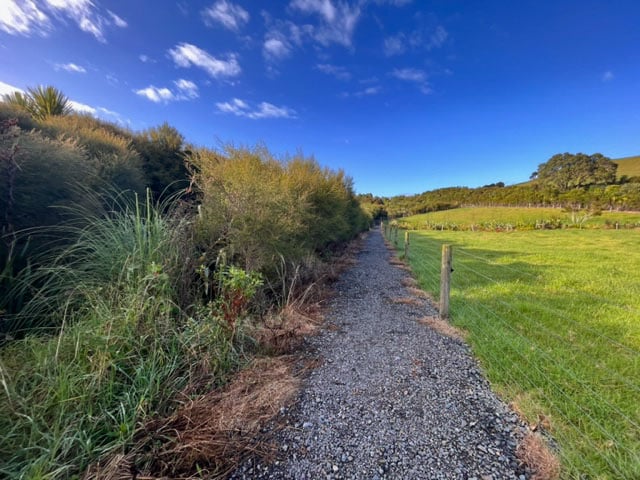 path and field