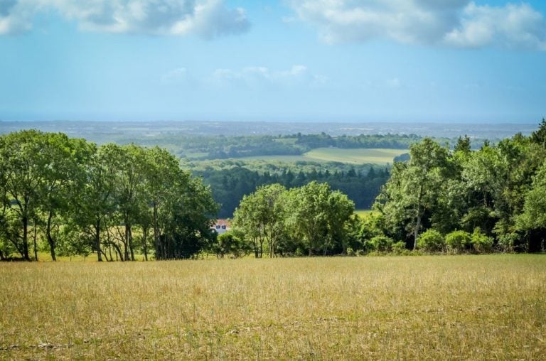 Eartham Woods and Gumber Farm Walk, South Downs