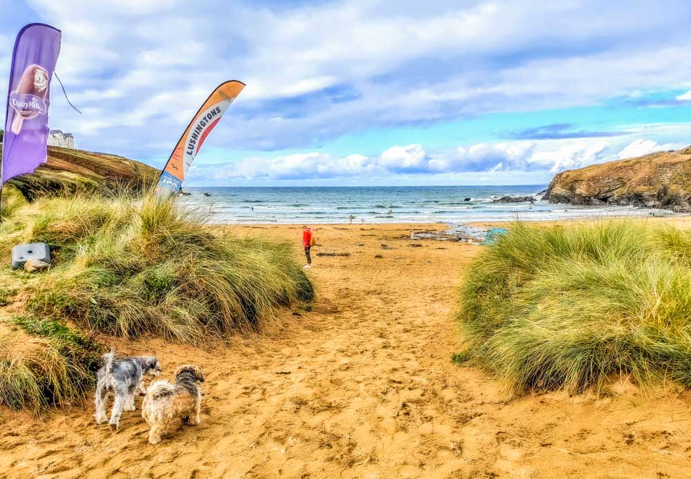 poldhu cove beach and dogs