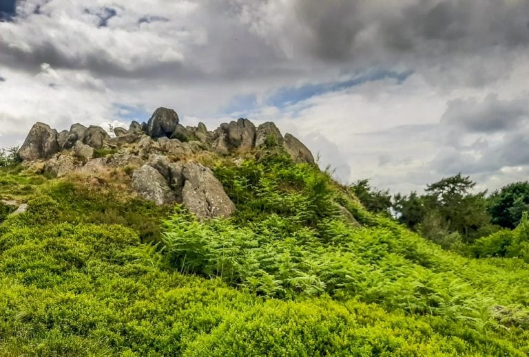 A Walk In The Leicestershire Countryside, A Scenic Surprise