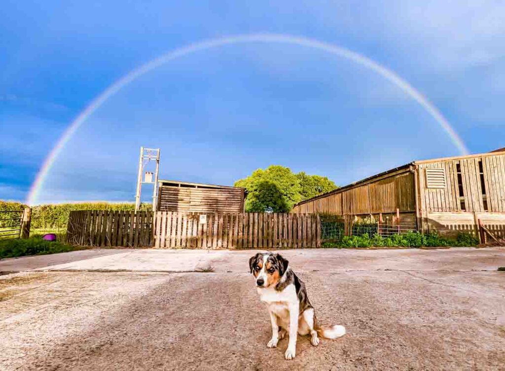 rainbow in blue sky