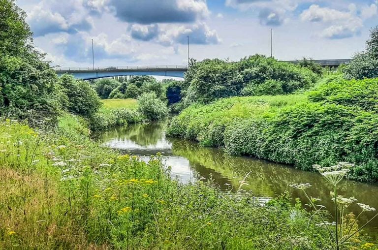 Woodhouse Washlands Nature Reserve, Sheffield