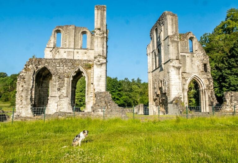 Roche Abbey Of Maltby, Rotherham