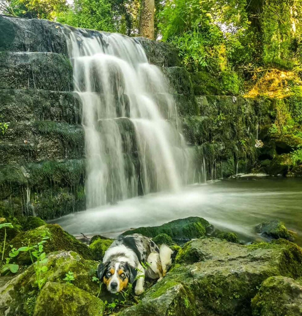 roche abbey waterfall