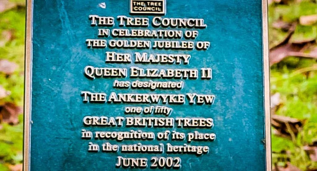 Ankerwycke Yew royal plaque