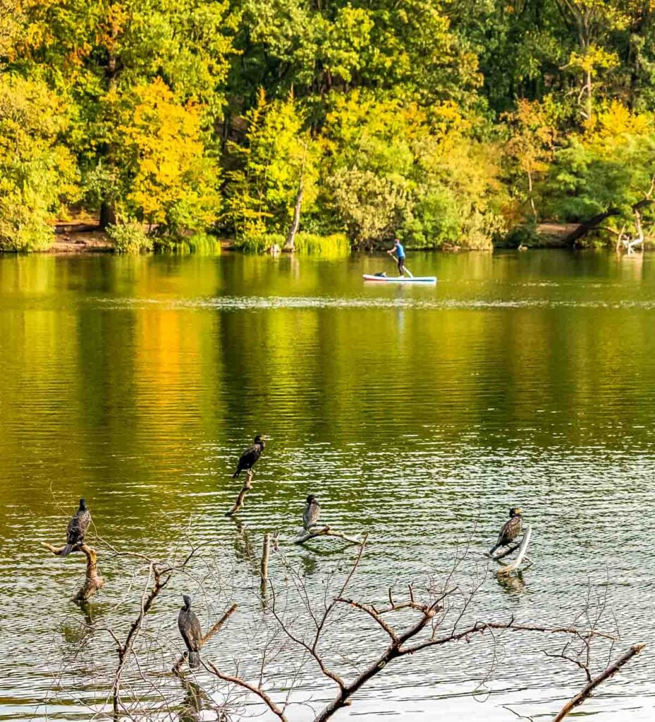 paddleboarder on Schlachtensee