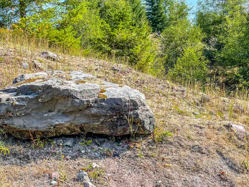 small boulder