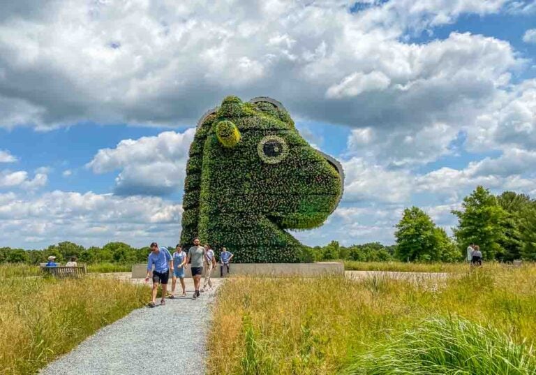 Glenstone Museum: Where Art and Nature Merge in Harmony