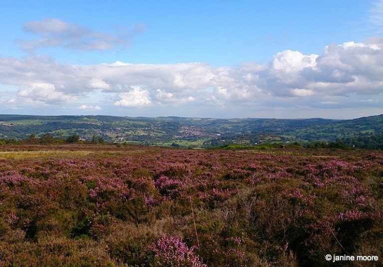 Stanton Moor and The Nine Ladies in the Derbyshire Dales