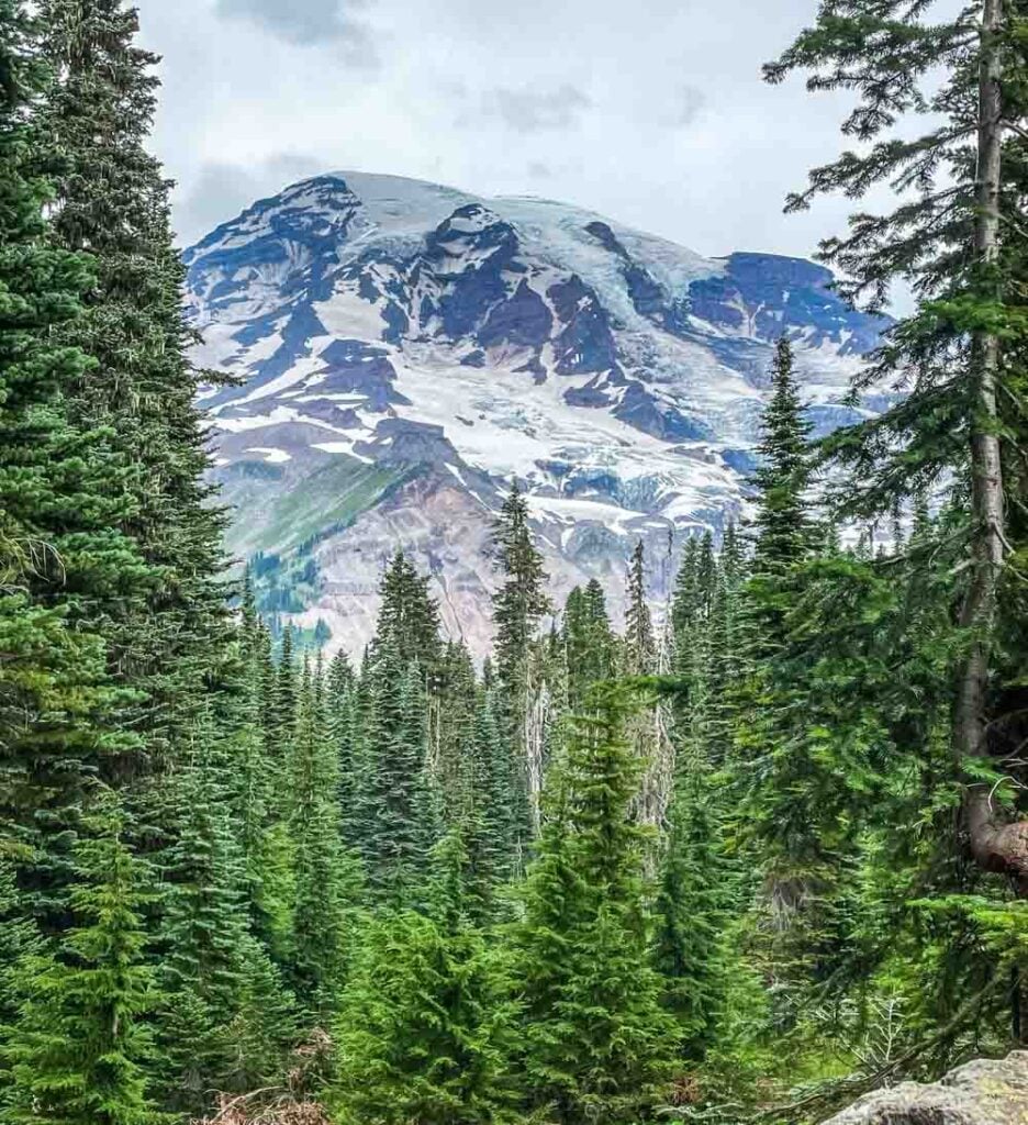 start of nisqually view loop trail