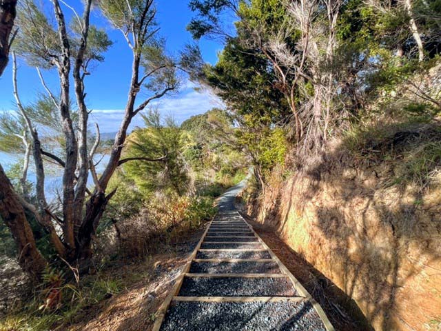 steps down Otawhiri Peninsular Walk