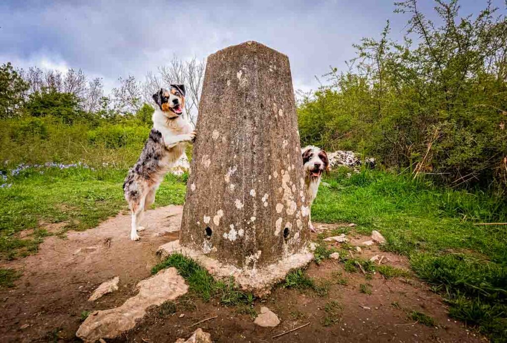 summit trig point warton crag