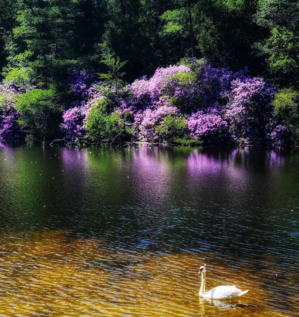 Virginia Water Lake