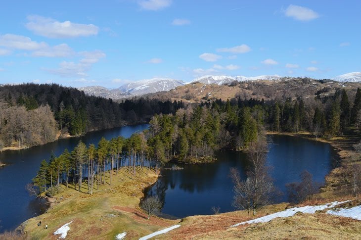 Tarn Hows – An Icon Of The Lakes