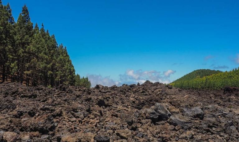 Walking Tenerife – Across the Volcanic Ash of Chinyero Volcano