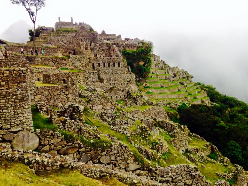 Terraces at Machu Picchu