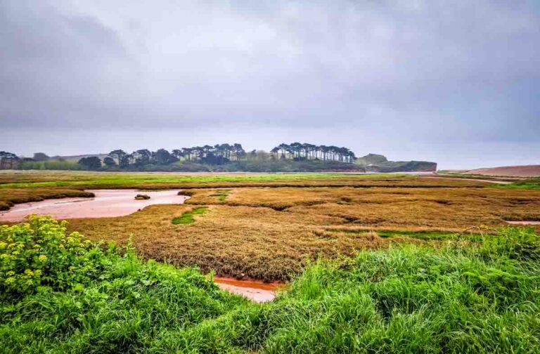 A Walk From Budleigh Salterton To Otterton Along The River Otter