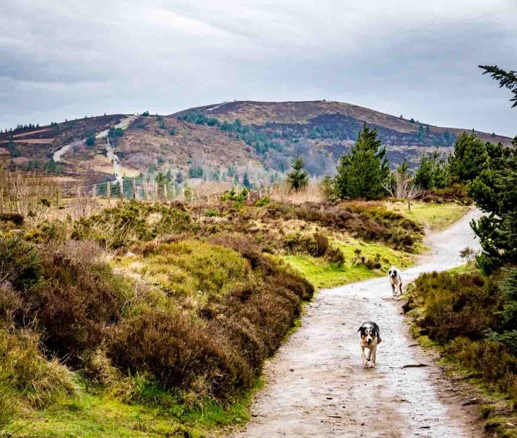 the top of moel famau in sight