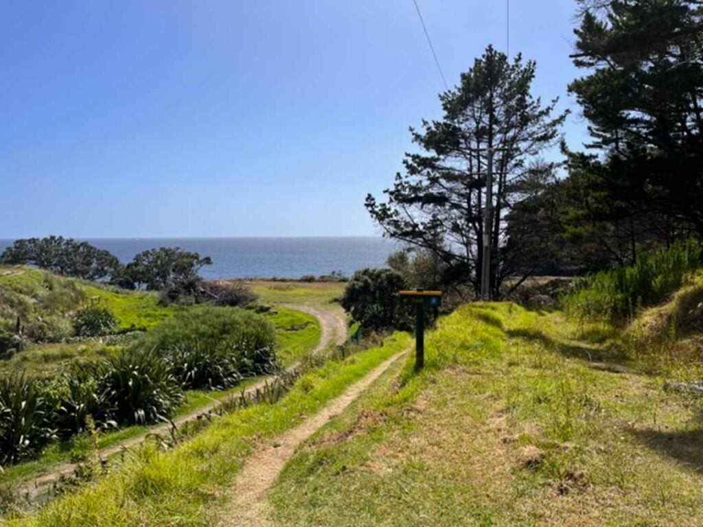 track on the Mahinepua Peninsula Track