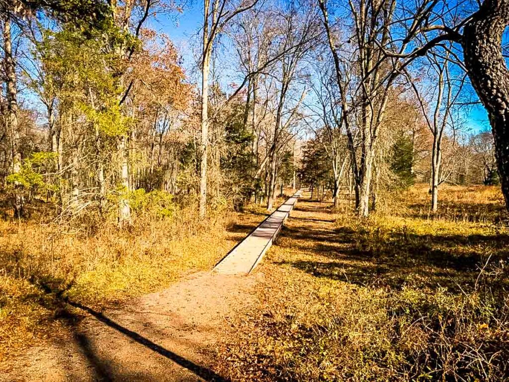 pathway on First Battle of Manassas Trail Loop