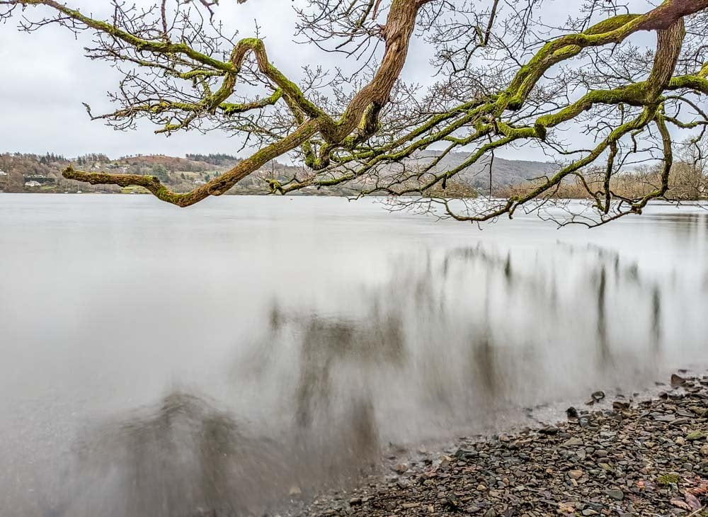 tree reflection on windermere