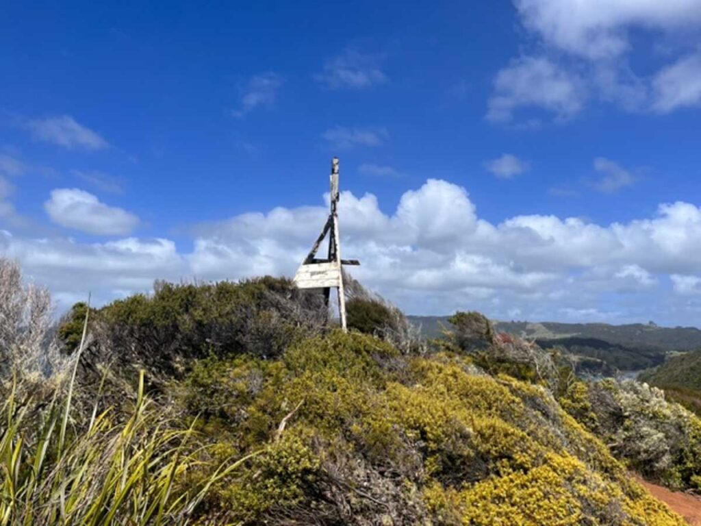 Mahinepua Peninsula Track trig